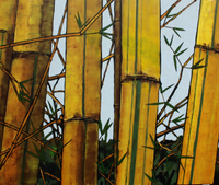 Eine Bambus-Allee auf unserer Farm